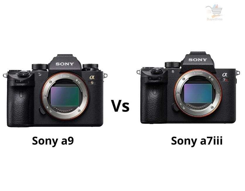 Sony a9 vs a7iii